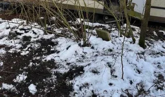 Zdjęcie opuszczonego miejsca: Opuszczony dom z przyczepą campingową