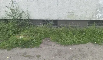 Zdjęcie opuszczonego miejsca: Opuszczone mieszkanie w idealnym stanie.
