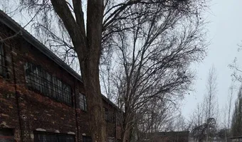 Zdjęcie opuszczonego miejsca: Magazyn Chemii, Łódź