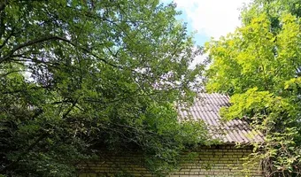 Zdjęcie opuszczonego miejsca: Oouszczone schronisko