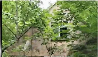 Zdjęcie opuszczonego miejsca: Opuszczony dom na puszczewiu