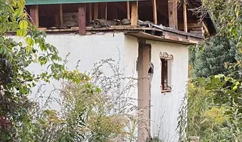 Zdjęcie opuszczonego miejsca: Opuszczone działki ROD