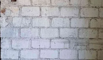 Zdjęcie opuszczonego miejsca: Pustostan domu z warsztatem