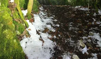 Zdjęcie opuszczonego miejsca: Kawerna Pychowice II i III