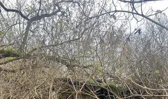 Zdjęcie opuszczonego miejsca: Ruiny Domu i gospodarstwa