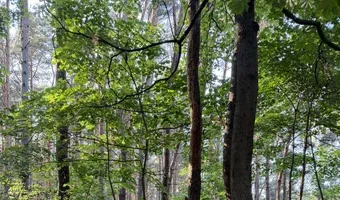 Zdjęcie opuszczonego miejsca: Prawy boczny punkt kierowania ogniem