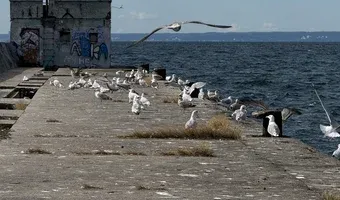 Zdjęcie opuszczonego miejsca: Falochron portu wojennego