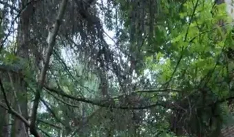 Zdjęcie opuszczonego miejsca: Budynek po byłej kopalni