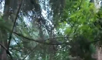 Zdjęcie opuszczonego miejsca: Budynek po byłej kopalni