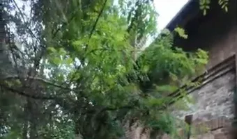 Zdjęcie opuszczonego miejsca: Budynek po byłej kopalni