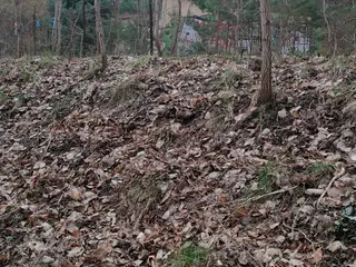 Miniatura: Kilka opuszczonych budynków