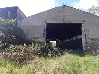 Miniatura: Puszczony hangar