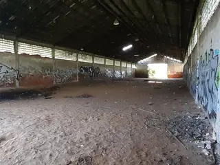 Miniatura: Puszczony hangar
