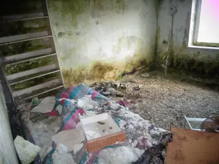 Miniatura: Sala weselna Bagatela