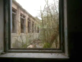 Miniatura: Zakład dla Nerwowo i Psychicznie Chorych Żydów „Zofiówka”