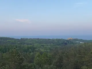Miniatura: Wieża radiowa Rysie Wzgórze, Sopot